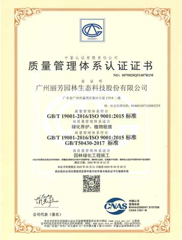 9001cc��ɳ�Գ�Ϊ��(�й�����)-�ٷ���վ