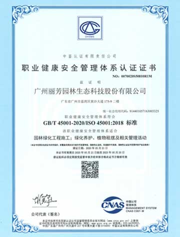 9001cc��ɳ�Գ�Ϊ��(�й�����)-�ٷ���վ