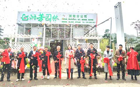 9001cc��ɳ�Գ�Ϊ�����Ϸֹ�˾ʢ��ҵ��������ս�����г�