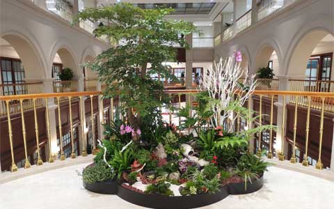 ���ޣ�9001cc��ɳ�Գ�Ϊ���ٻ�Ϊ��ǰ�������������عɡ��ո�����ͨ...