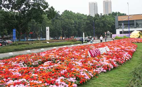 �a�_�����̻�����