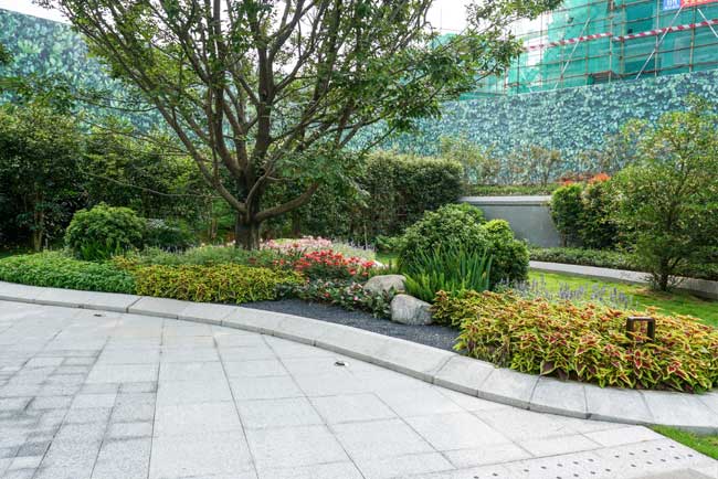 �����ɽҼ�Ż������