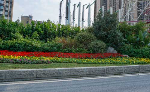 �����辶�̻�����