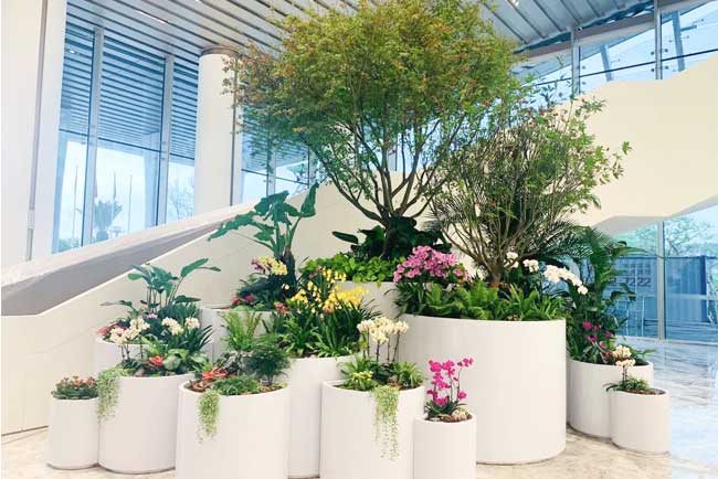 ����ǰ�����ʾۻ�������ֲ����