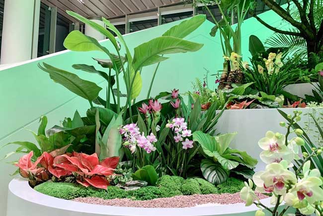 ����ǰ�����ʾۻ�������ֲ����