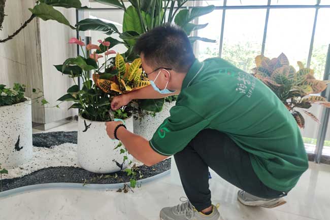 ����ǰ�����ʾۻ�������ֲ����