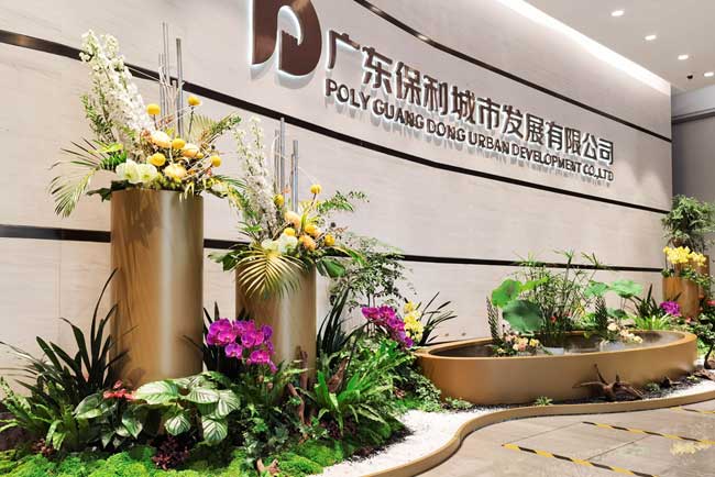 ������Ļ�㳡��ֲ������