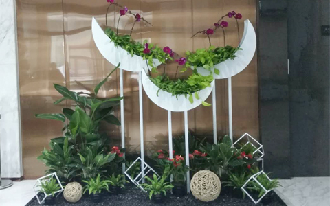 ���ܰڷŹ�˾���������� ��ֲ���޼�Ǯ����������