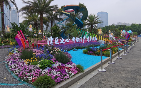 ��29��԰���ῪĻ��9001cc��ɳ�Գ�Ϊ����չ��Ʒ���3��