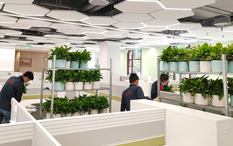 �칫�һ�������������˾��ô������������