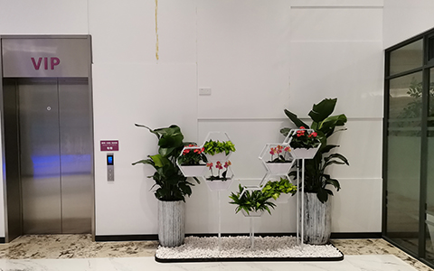 �a�_��ֲ��ڷ�����