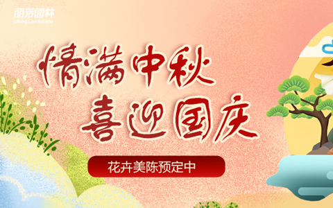 9001cc��ɳ�Գ�Ϊ��2022���������������ƿ���ԤԼ��