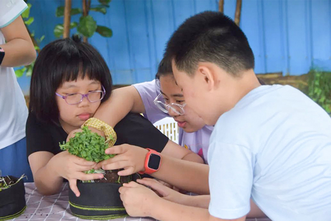 ������������Ӫ