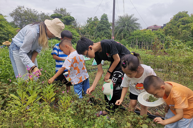 ������������Ӫ