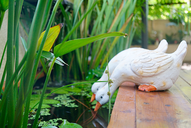 ��������¶̨��԰���