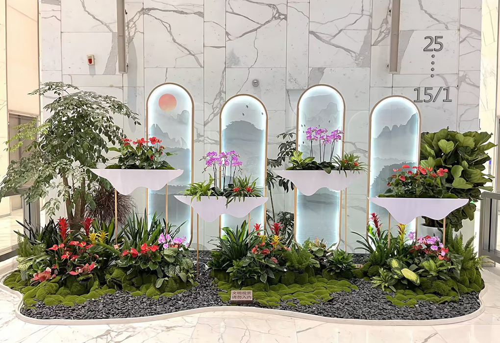 9001cc��ɳ�Գ�Ϊ����������ֲ���쾰�������� ������������