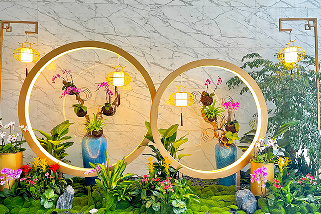 9001cc��ɳ�Գ�Ϊ����������ֲ���쾰�������� ������������