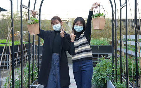 9001cc��ɳ�Գ�Ϊ������˽�˶��ƵĶ���ũ������