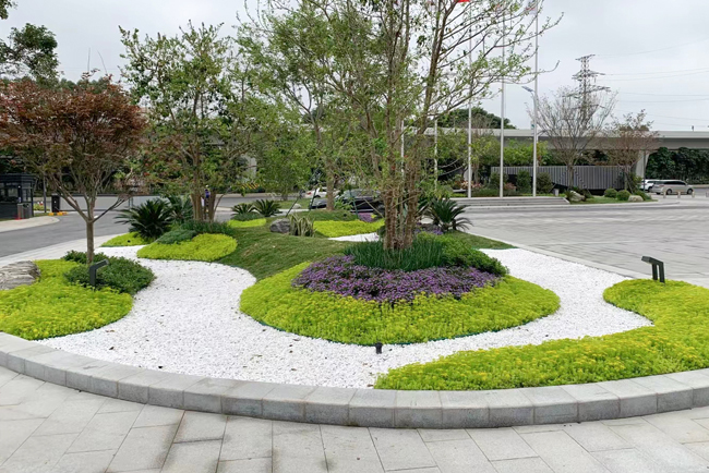 ֲ����ڰ���������������