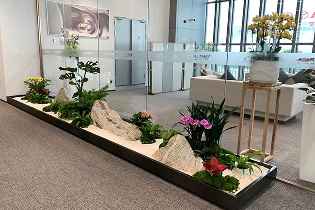 ֲ����ڰ���������������