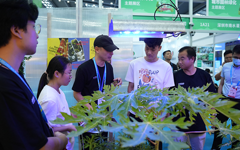 ����ʽ����9001cc��ɳ�Գ�Ϊ������Ȼ����չ���ֳ�����