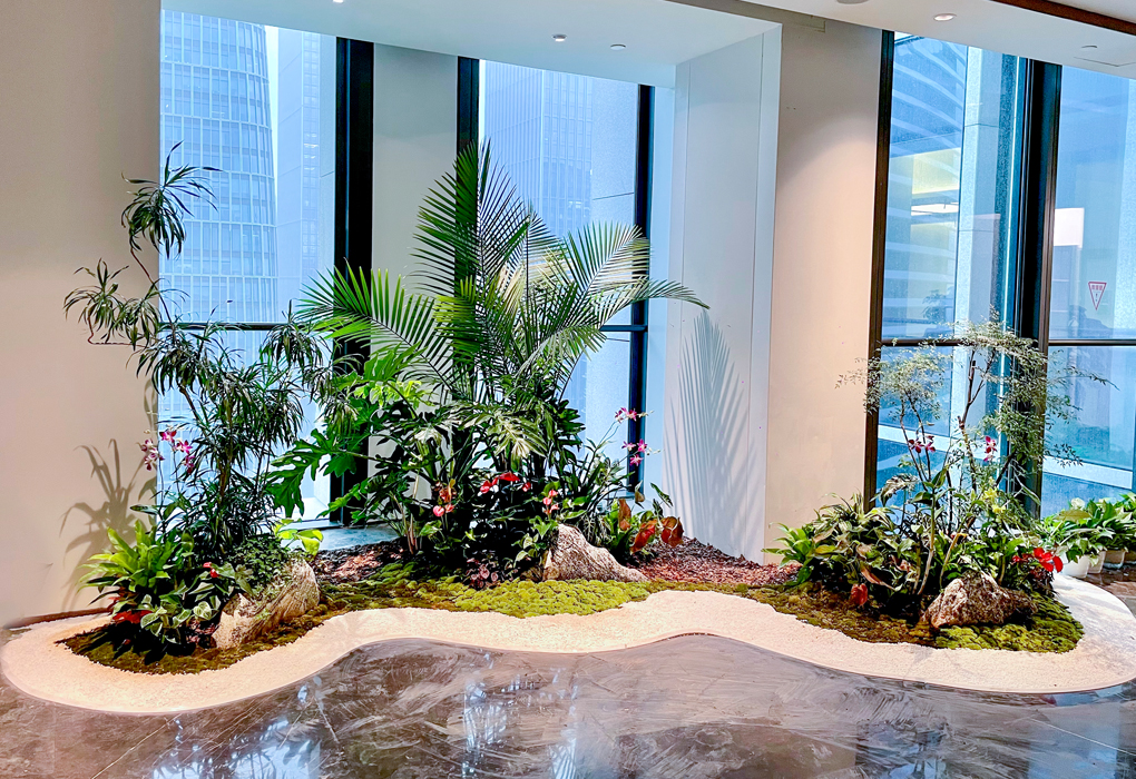 9001cc��ɳ�Գ�Ϊ�������̻��������