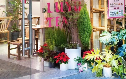 ����� | �����������ʽ��¥������������Ȼ��������