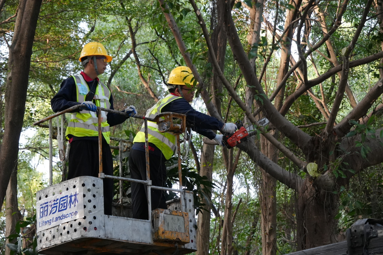 9001cc��ɳ�Գ�Ϊ��(�й�����)-�ٷ���վ