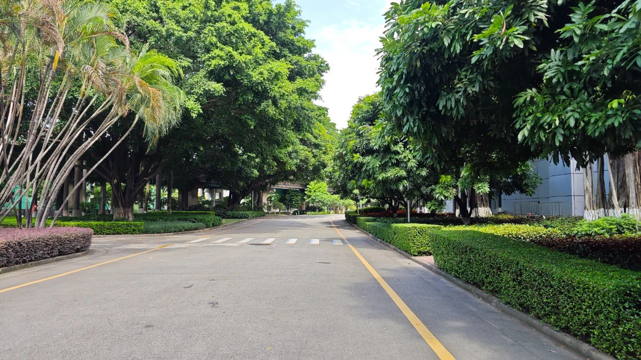 9001cc��ɳ�Գ�Ϊ��(�й�����)-�ٷ���վ