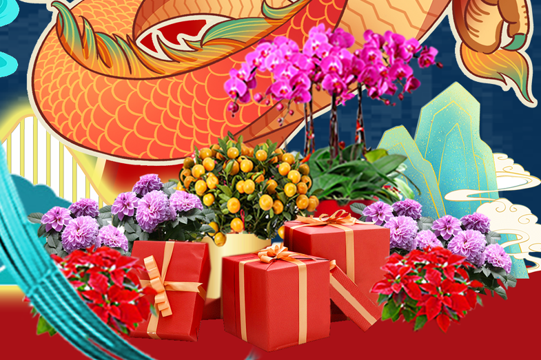 9001cc��ɳ�Գ�Ϊ��(�й�����)-�ٷ���վ