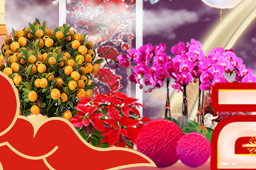 9001cc��ɳ�Գ�Ϊ��(�й�����)-�ٷ���վ