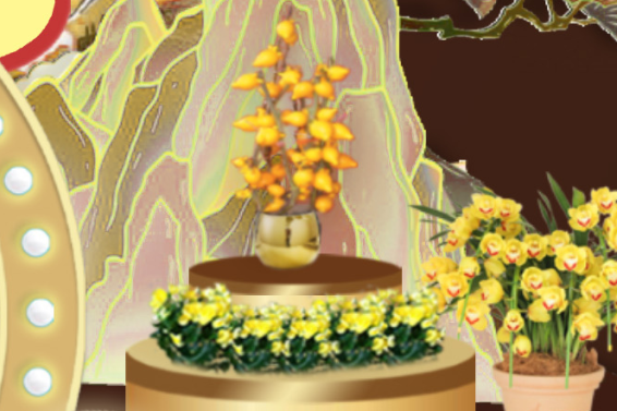 9001cc��ɳ�Գ�Ϊ��(�й�����)-�ٷ���վ