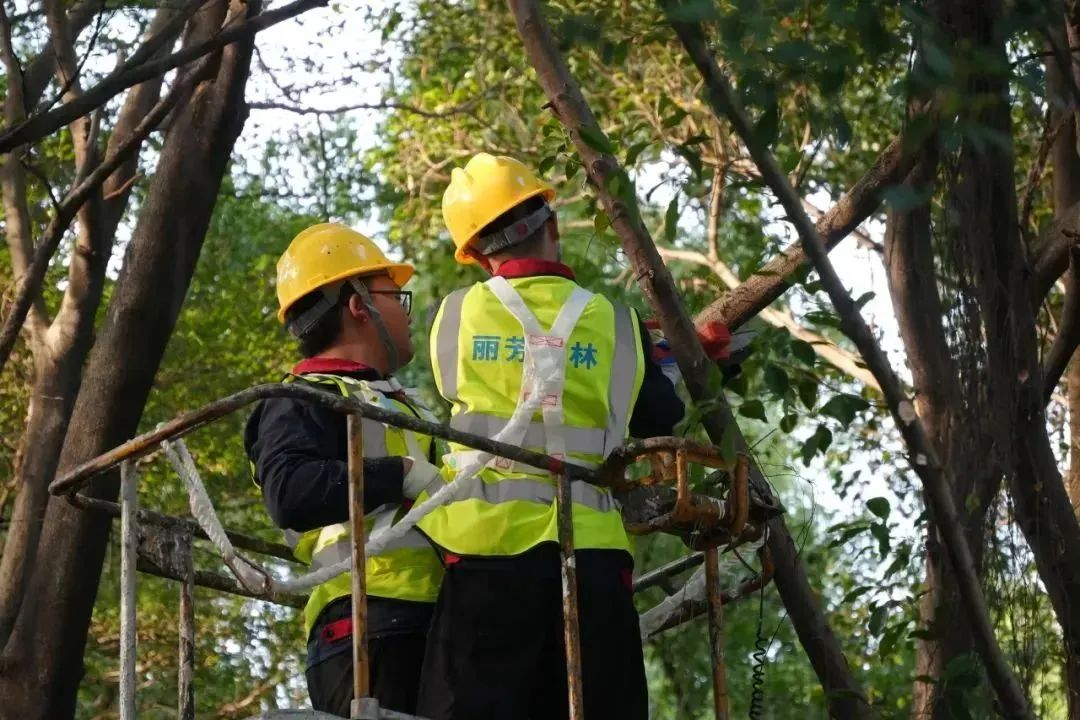 9001cc��ɳ�Գ�Ϊ��(�й�����)-�ٷ���վ