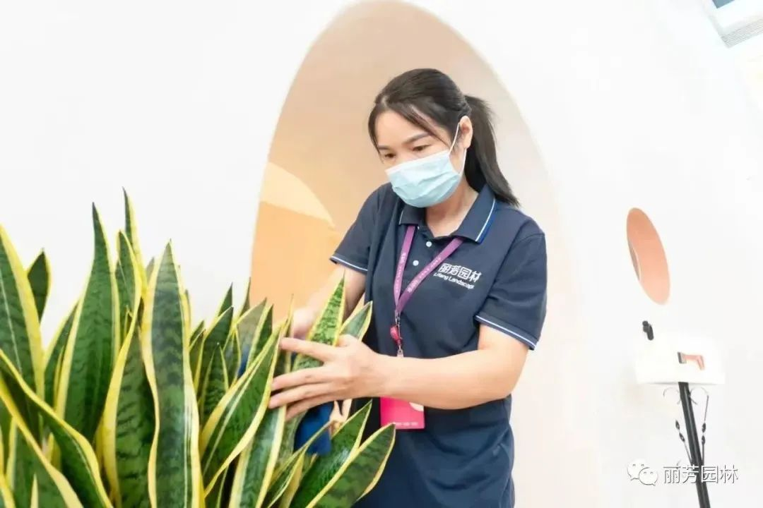 9001cc��ɳ�Գ�Ϊ��(�й�����)-�ٷ���վ