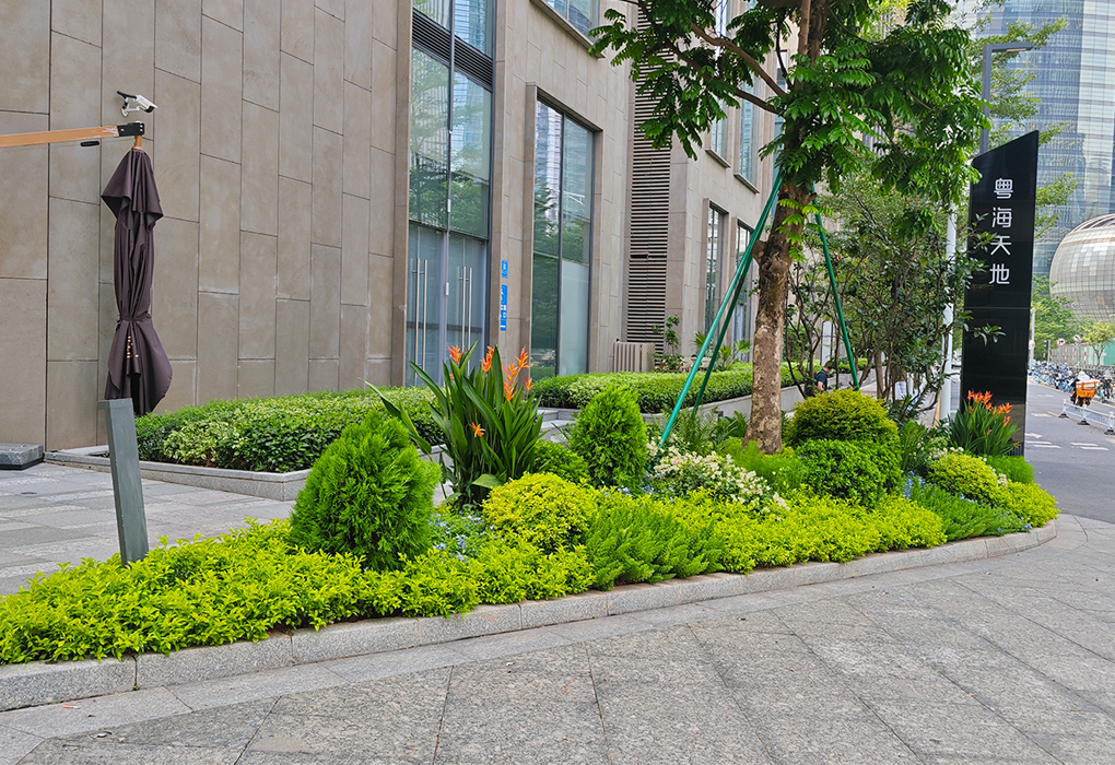 �a�_�̻������ʩ�������������