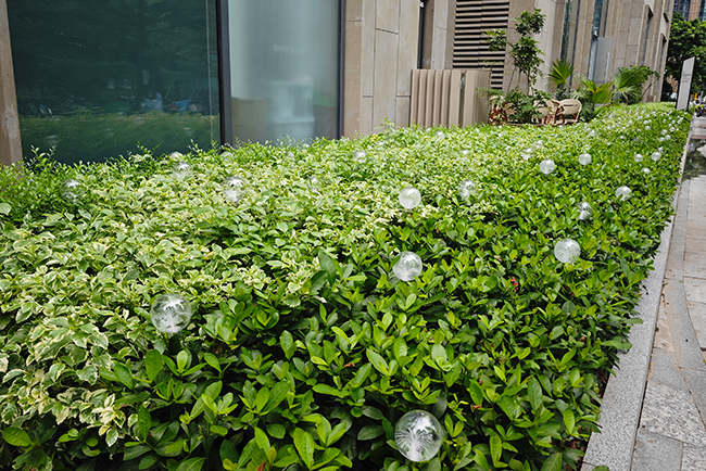 �a�_�̻������ʩ�������������