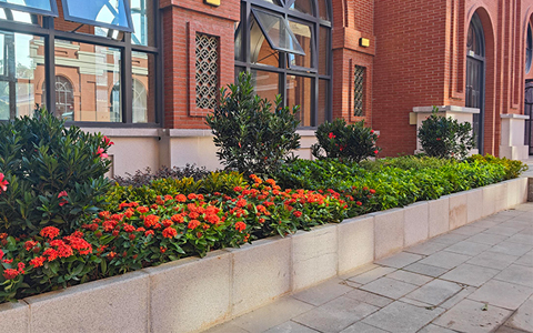 9001cc��ɳ�Գ�Ϊ��������������ɽ��ѧ������̻�����������ĿԲ�����