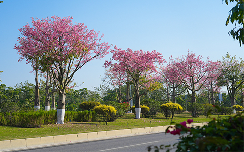 9001cc��ɳ�Գ�Ϊ�������ո۾����������辶�̻��������������Ŷ�������