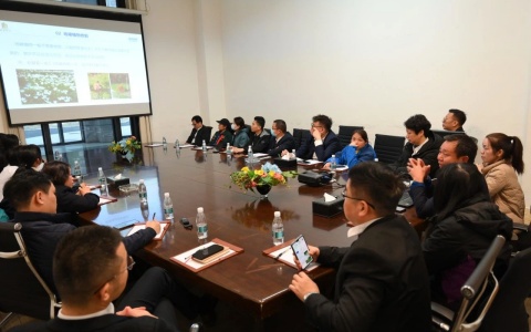 ����� | ������Э����9001cc��ɳ�Գ�Ϊ��������ֲ�޼�������ѵ����