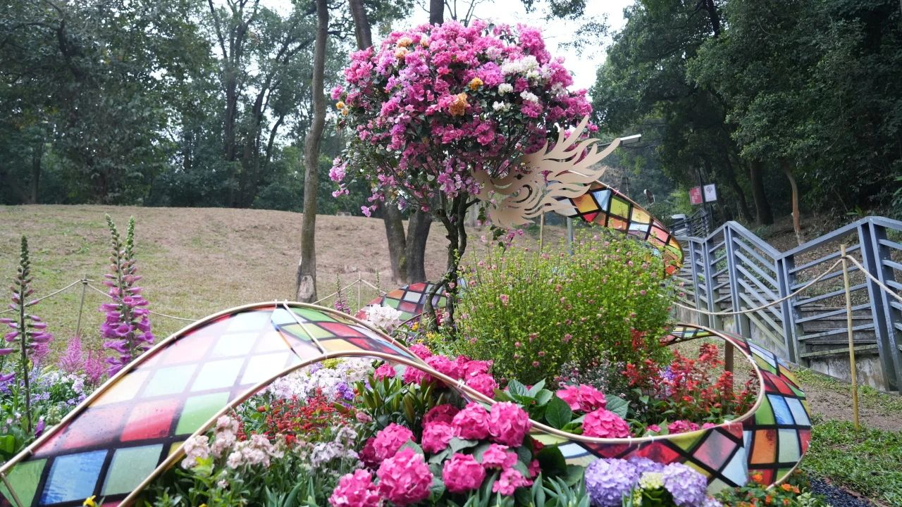 9001cc��ɳ�Գ�Ϊ��(�й�����)-�ٷ���վ