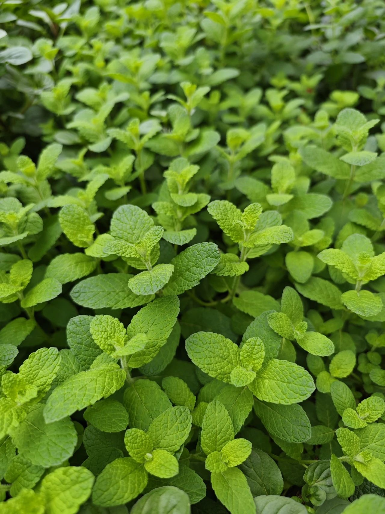 9001cc��ɳ�Գ�Ϊ��(�й�����)-�ٷ���վ