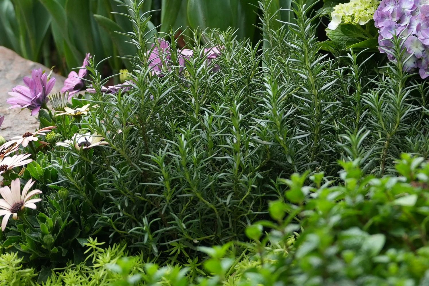 9001cc��ɳ�Գ�Ϊ��(�й�����)-�ٷ���վ