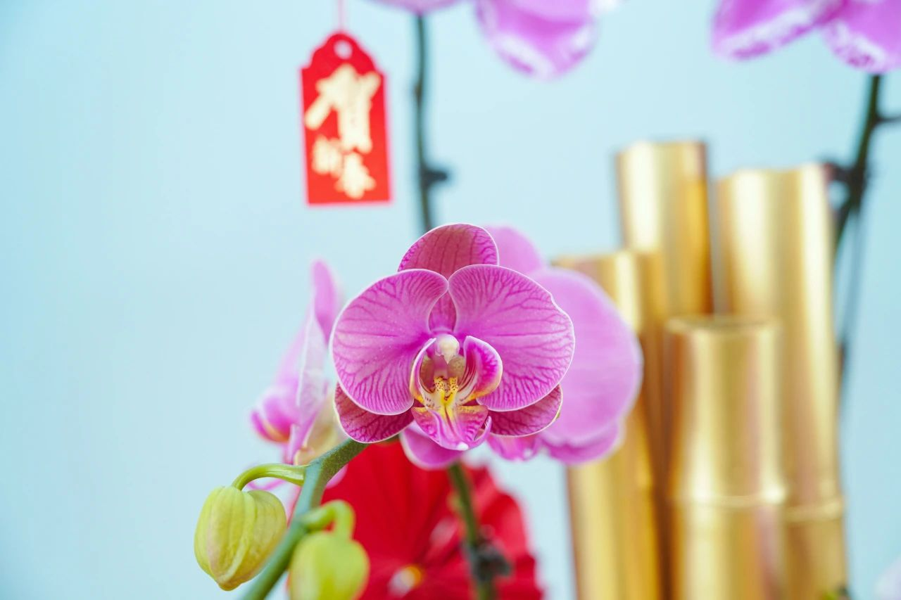 9001cc��ɳ�Գ�Ϊ��(�й�����)-�ٷ���վ