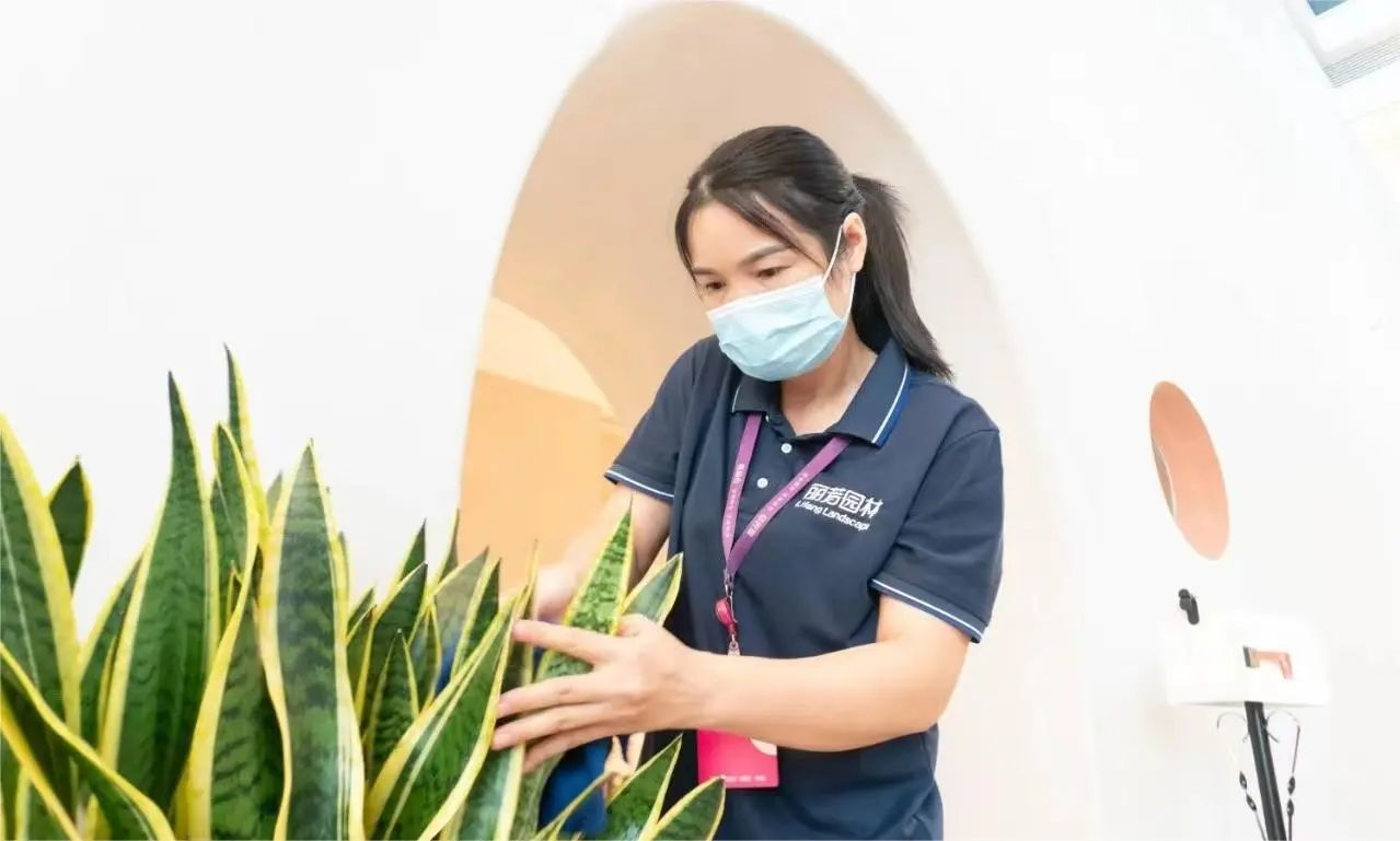 9001cc��ɳ�Գ�Ϊ��(�й�����)-�ٷ���վ