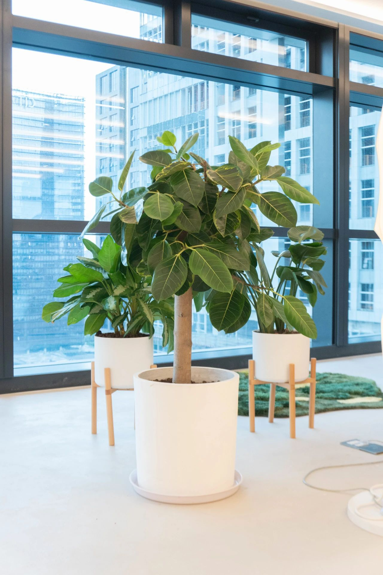 9001cc��ɳ�Գ�Ϊ��(�й�����)-�ٷ���վ