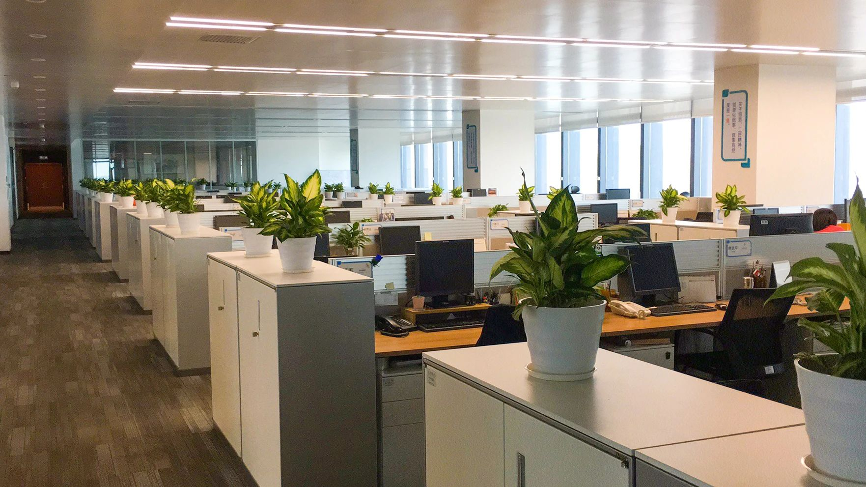 9001cc��ɳ�Գ�Ϊ��(�й�����)-�ٷ���վ