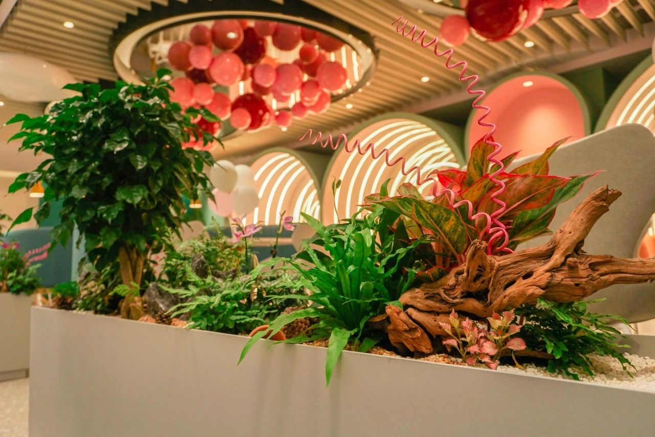 9001cc��ɳ�Գ�Ϊ��(�й�����)-�ٷ���վ