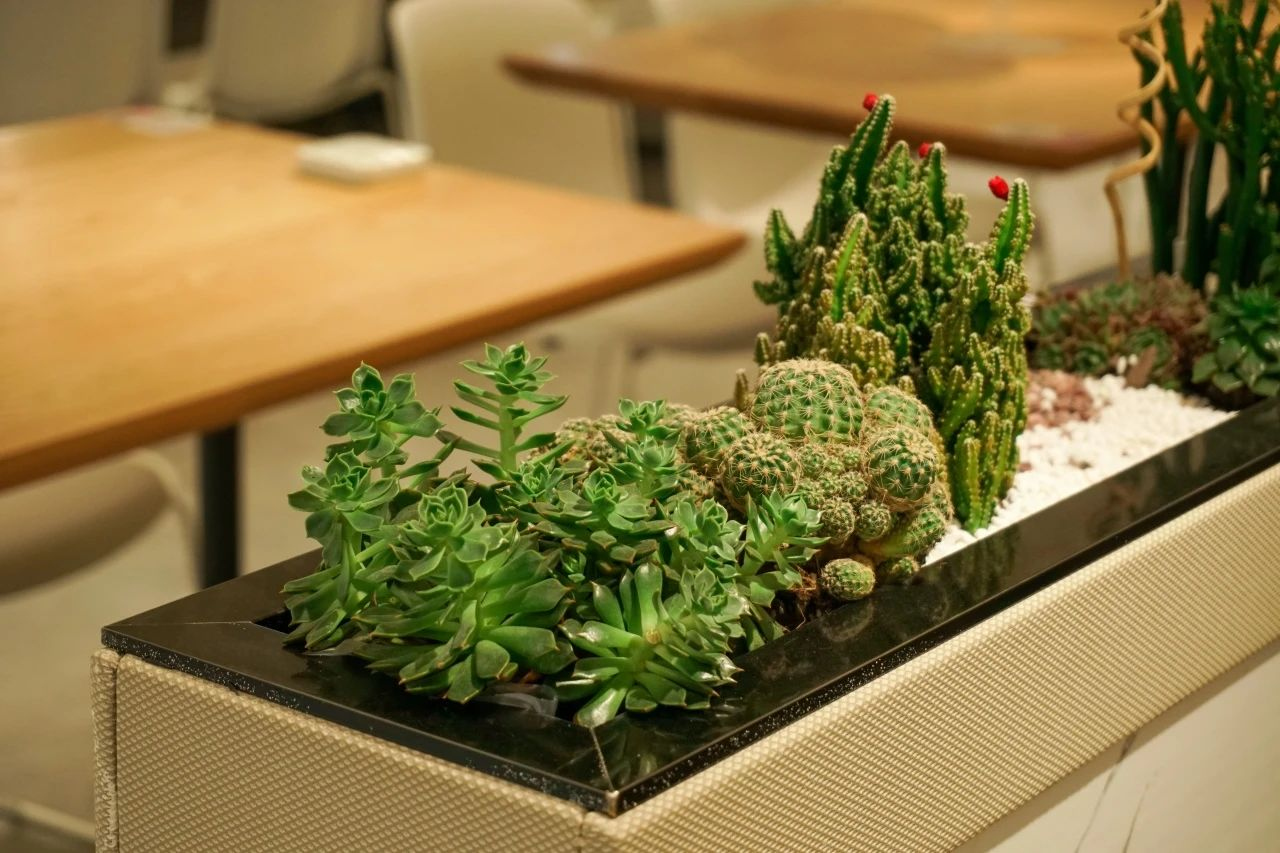 9001cc��ɳ�Գ�Ϊ��(�й�����)-�ٷ���վ