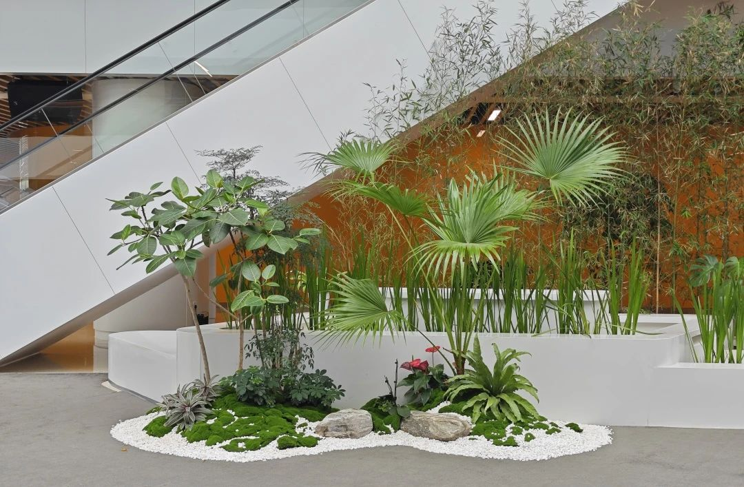 9001cc��ɳ�Գ�Ϊ��(�й�����)-�ٷ���վ