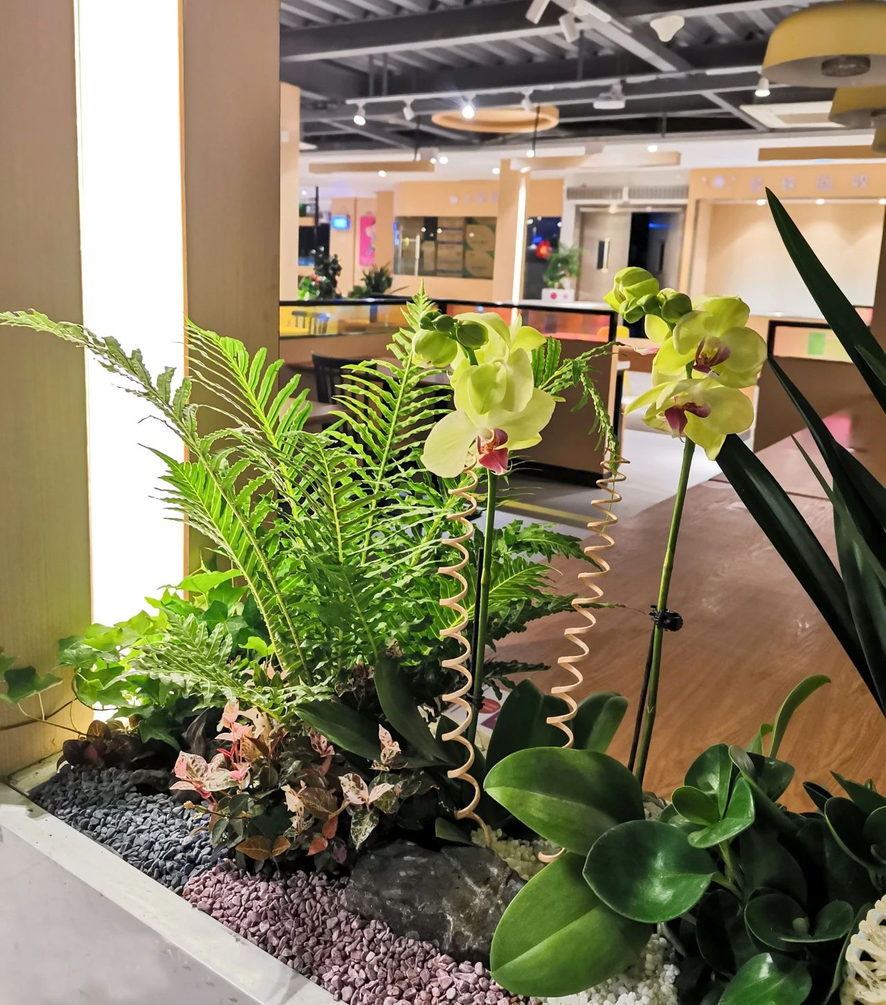 9001cc��ɳ�Գ�Ϊ��(�й�����)-�ٷ���վ